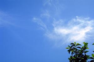 浜松市中央区小豆餅における【富士葬祭 小豆餅】：家族葬に最適なコンパクト会館と安心の葬儀サービス