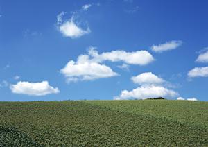 栃木県那須塩原市の信頼できる葬儀場【さがみ典礼 西那須野】の詳細と特徴