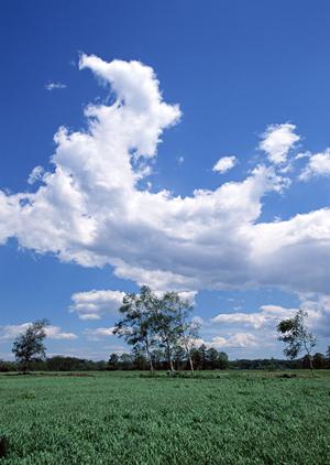千葉県野田市で信頼できる葬儀サービスを提供するティア野田の詳細と魅力
