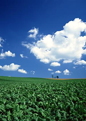 静岡市清水区における信頼の葬儀サービス｜富士葬祭 双樹の詳細と特徴