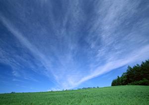 【富士葬祭 富士青島】家族葬に最適な小規模葬儀場と安心のサービス内容