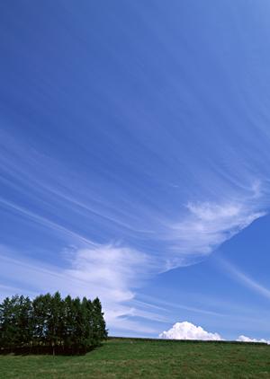 静岡市葵区に新規オープン！家族葬専門の斎場「家族葬のタクセル新伝馬」の魅力と詳細ガイド