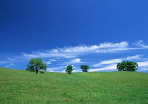 浜松市中央区の安心・信頼の葬儀場｜富士葬祭 三方原の特徴とサービス詳細