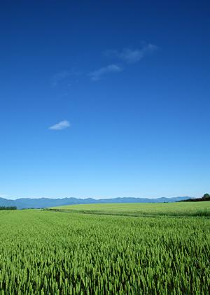 掛川市で信頼と実績の葬儀サービス｜富士葬祭掛川の特徴と店舗情報