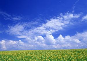 静岡県藤枝市に新規オープン！家族葬に最適な【家族葬のタクセル岡出山】の全て