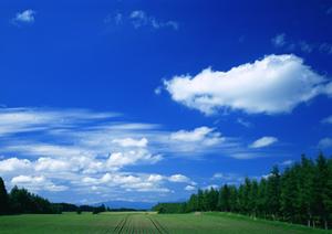 静岡県で低価格・信頼の葬儀サービス：家族葬のタクセルの特徴と店舗情報