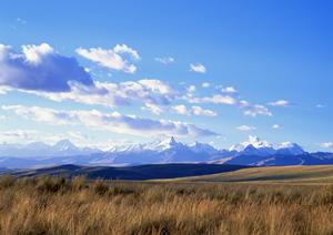 静岡市の家族葬と安心の葬儀サービス｜富士葬祭清水の詳細情報と特徴