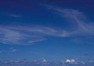 越谷市の家族葬対応葬儀場【ティア越谷】の特徴とサービス詳細