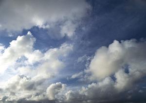 地域密着の【店舗名】｜高品質なサービスと安心の価格で地域の皆さまをサポート