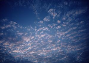 静岡県焼津市の家族葬専門斎場「家族葬のタクセル東小川」の特徴とサービス内容