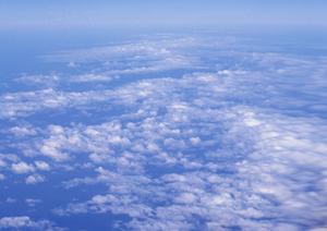 静岡市で信頼できる家族葬と一般葬を提供する富士葬祭 慈悲尾の全て